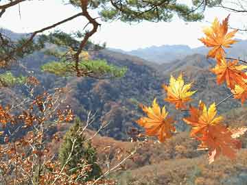 昔陽最新樓盤探秘，發(fā)現(xiàn)城市新地標(biāo)