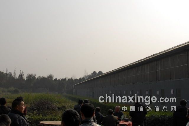 成都國奧公棚最新動(dòng)態(tài)更新