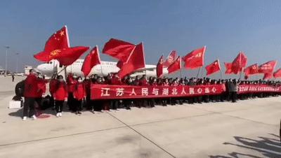 鹽城病毒最新,鹽城病毒最新論述