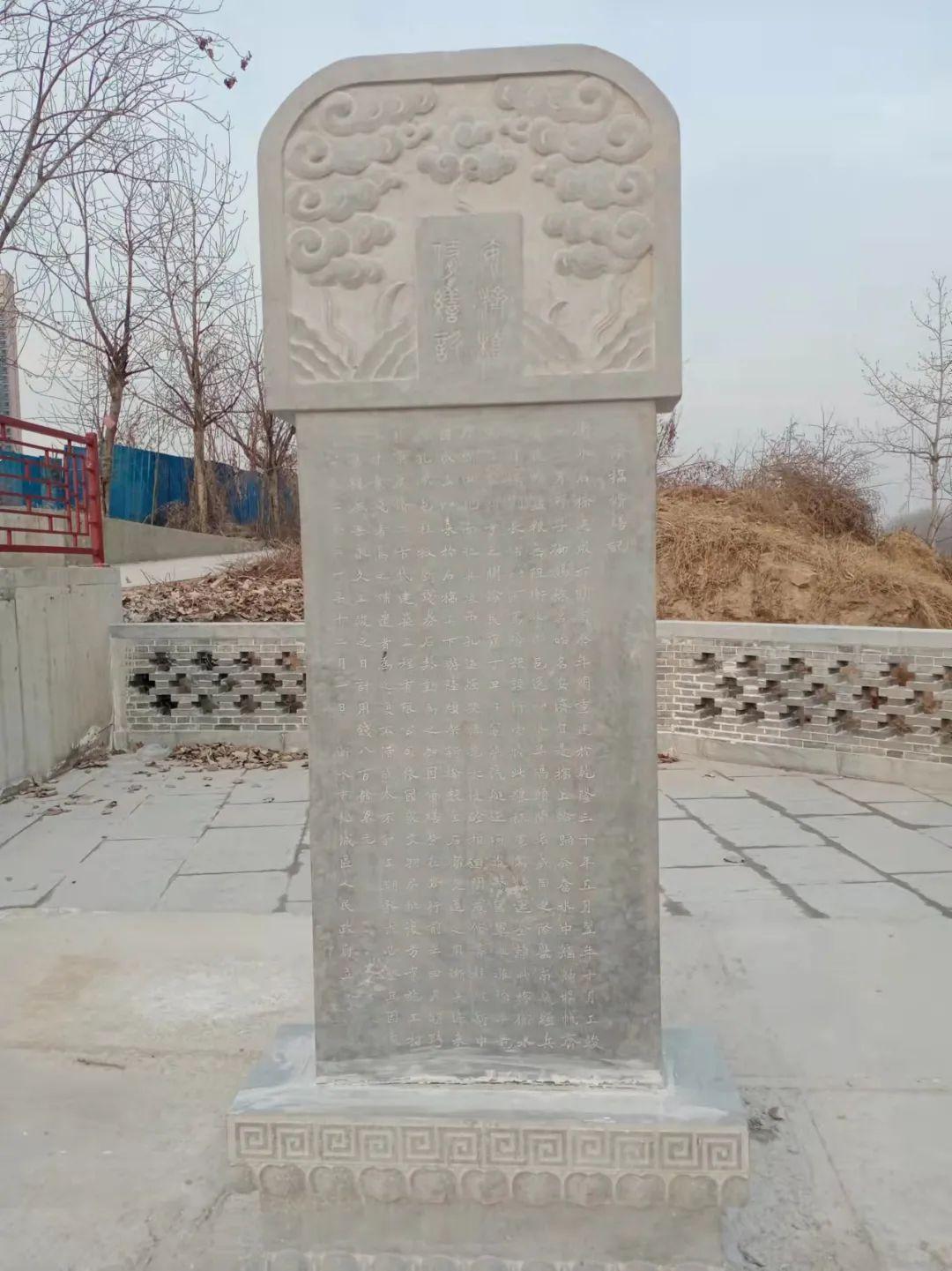 石龜?shù)淖钚?石龜?shù)淖钚?，如何飼養(yǎng)與照顧石龜?shù)脑敿?xì)步驟指南